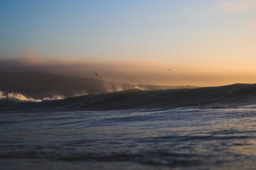 Indonesia-India Perkuat Kolaborasi Pendidikan Tinggi Bidang Bisnis dan Ekonomi