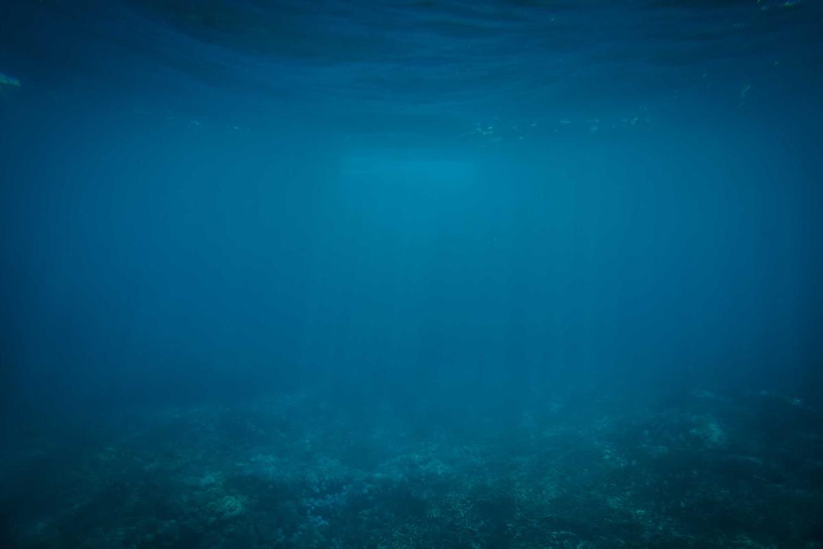 Rendahnya Tingkat Pendidikan Di Indonesia