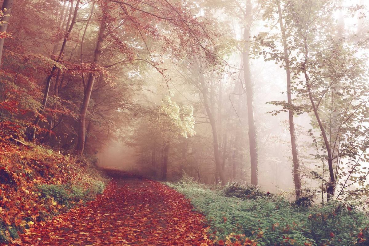 Bupati Meranti Teken Kerja Sama dengan IBT Pelita Indonesia, Dorong SDM Unggul Berbasis Teknologi