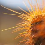 ‘Sidang’ 16 terduga pelaku pelecehan seksual di FH UI