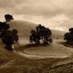 Maybank Indonesia (BNII) Bidik Sektor Halal dari Kesehatan hingga F&B