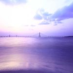 Menyisihkan 980 Sekolah se-Indonesia, SMPN 2 Kota Cilegon Raih ASEAN Eco-School