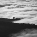 Perkuat Kualitas SDM, Kolaborasi Pendidikan Tinggi Indonesia Austria Makin Erat