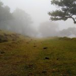 Perkuat Kemitraan Pendidikan Tinggi, Indonesia Pacu Transformasi Ekonomi Berbasis Sains dan Teknologi