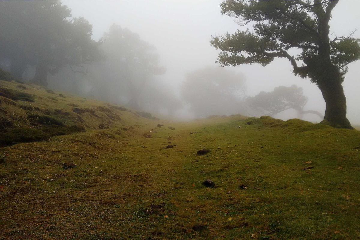 Perkuat Kemitraan Pendidikan Tinggi, Indonesia Pacu Transformasi Ekonomi Berbasis Sains dan Teknologi