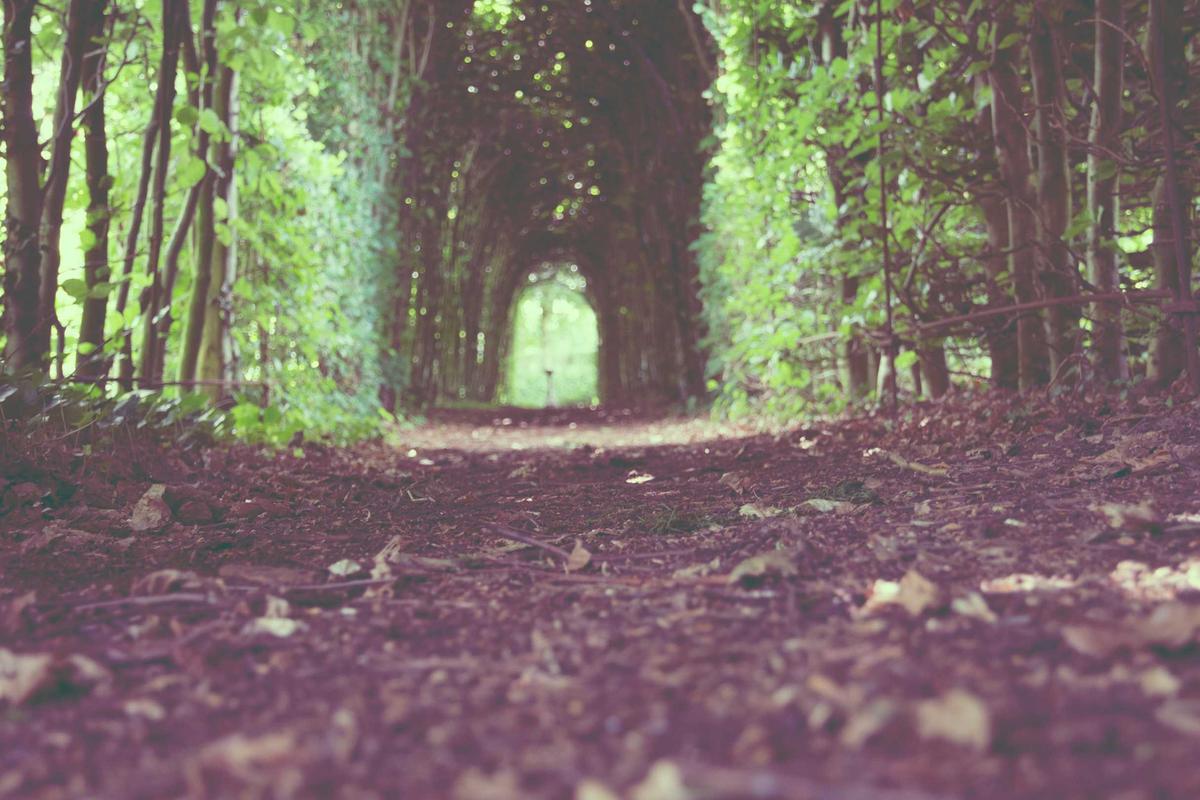 Universitas Ciputra Buka Prodi Spesialis: Prioritaskan Pengabdian ke Indonesia Timur