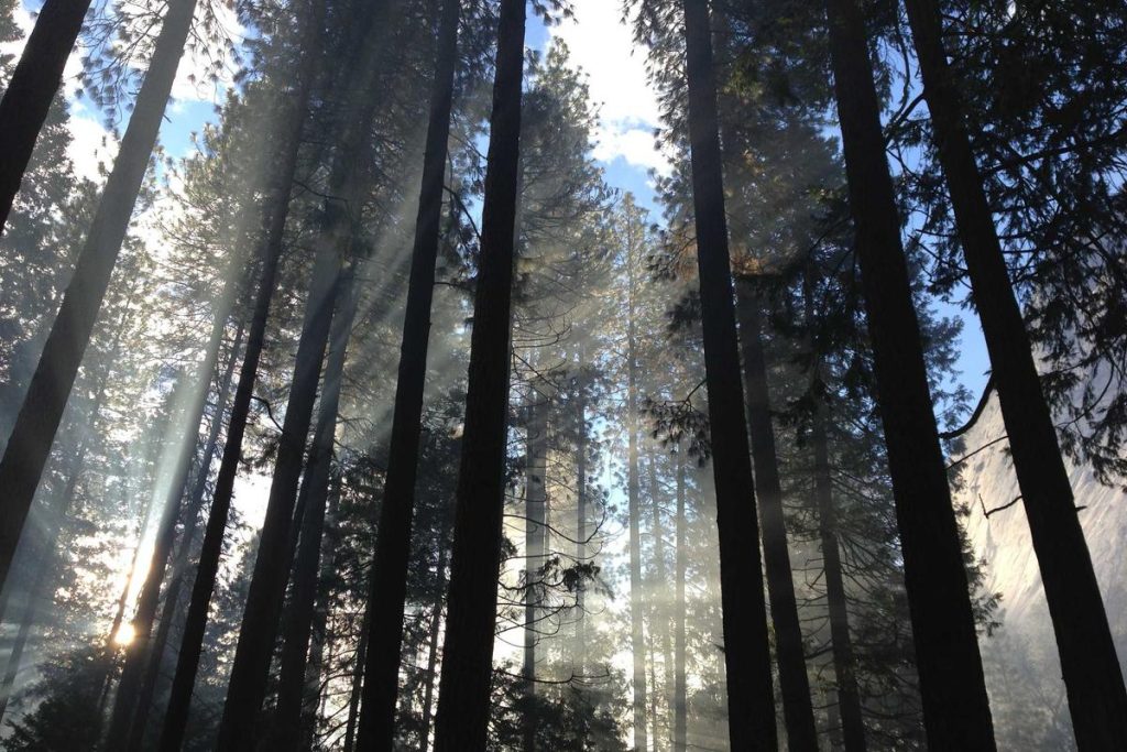 Indonesia–Austria Perkuat Kolaborasi Riset dan Pendidikan Tinggi, Fokus Energi dan Inovasi Teknologi