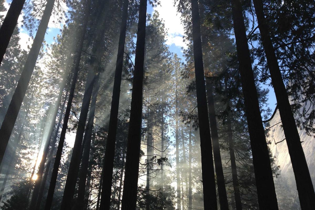 Indonesia–Austria Perkuat Kolaborasi Riset dan Pendidikan Tinggi, Fokus Energi dan Inovasi Teknologi