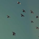 Kemendikdasmen ajak masyarakat dukung Rumah Pendidikan-Bug Bounty