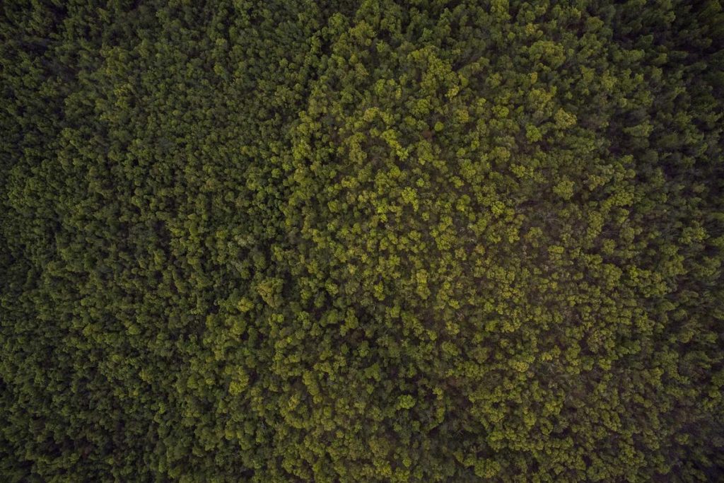 Ganesha Operation Komitmen Jadi Mitra Strategis Pendidikan Nasional