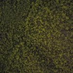 Ganesha Operation Komitmen Jadi Mitra Strategis Pendidikan Nasional