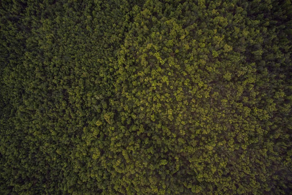 Ganesha Operation Komitmen Jadi Mitra Strategis Pendidikan Nasional