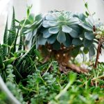 Wamendikdasmen: Percepatan Revitalisasi 71 Ribu Sekolah, Majalengka Termasuk Prioritas 2026