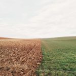 Saatnya perempuan Indonesia menentukan arah