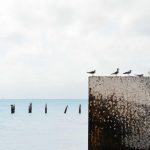 Royal! 15 Negara dengan Belanja Pendidikan per Siswa Terbesar di Dunia