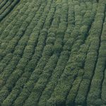 Transformasi Pendidikan Indonesia, Wamendikdasmen Soroti Peran Sekolah