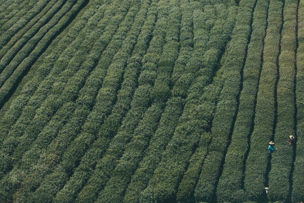 Transformasi Pendidikan Indonesia, Wamendikdasmen Soroti Peran Sekolah