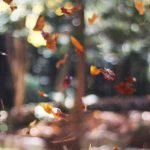 Mahkamah Agung Republik Indonesia