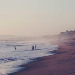 Forum Pimpinan Perguruan Tinggi Maritim Fokus pada Sinergi dan Keterserapan Lulusan