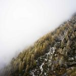 Institut Français Indonesia Adakan Rangkaian Acara Budaya & Pendidikan di Pekan Francophonie 2026