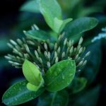 Perluas Akses Pendidikan di Indonesia Timur, 3 Madrasah Direvitalisasi