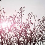 Dari Reformasi ke Rekonstruksi Pendidikan Indonesia