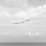 Wujudkan Ekosistem Belajar yang Nyaman, PERURI Salurkan Bantuan Pendidikan bagi Yayasan Puri Artha Karawang