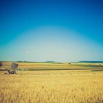 Sekjen Kemendiktisaintek Kunjungi UHO, Bahas Arsitektur Pendidikan Tinggi Menuju Indonesia Emas 2045