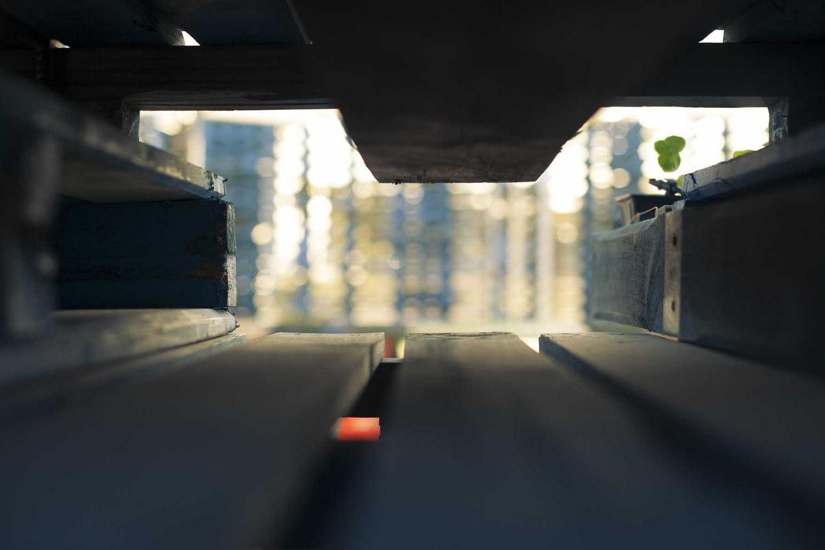 Susunan Upacara Hari Pendidikan Nasional 2026 Resmi dari Kemendikdasmen, Ini Urutannya