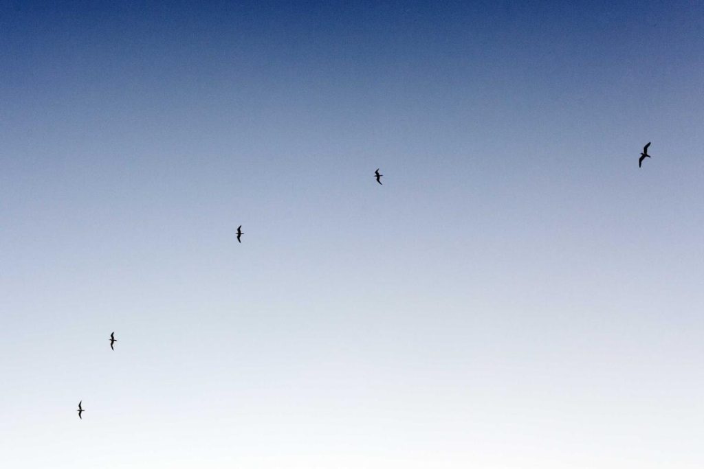 Indonesia Infrastructure Finance Ambil Bagian dalam Mendukung Kemajuan Pendidikan Nasional