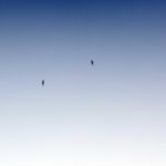 Indonesia Infrastructure Finance Ambil Bagian dalam Mendukung Kemajuan Pendidikan Nasional