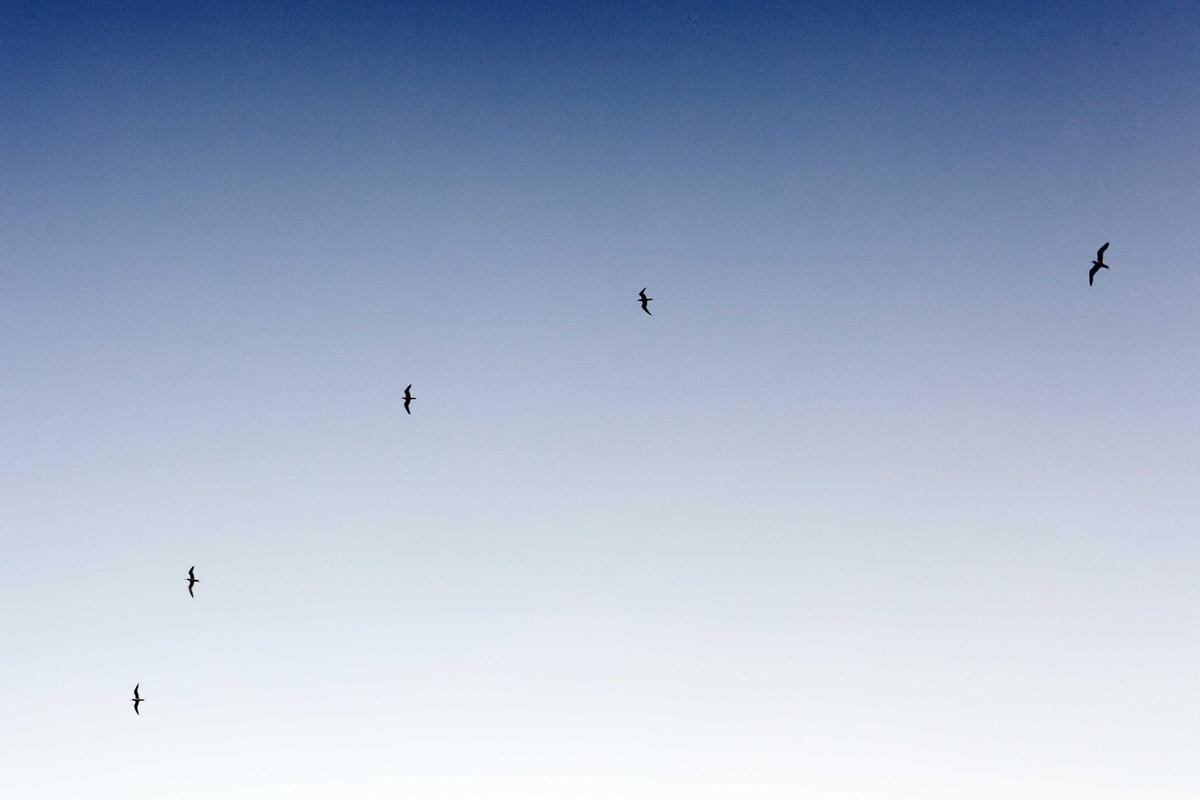 Indonesia Infrastructure Finance Ambil Bagian dalam Mendukung Kemajuan Pendidikan Nasional