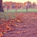 Ji Chang wook Terlibat dalam Kampanyekan Pendidikan di Indonesia