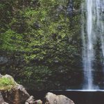 Atelier of Minds Hadir, Dorong Pendidikan Inklusif untuk Anak Neurodivers