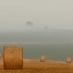 Indonesia dan India Perkuat Kolaborasi Pendidikan Tinggi, Dorong Riset dan Program MBA