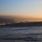 Indonesia-India Perkuat Kolaborasi Pendidikan Tinggi Bidang Bisnis dan Ekonomi