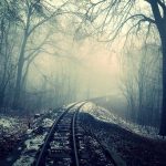 Presiden Prabowo dan Presiden Putin Perkuat Kerja Sama Energi, Antariksa, hingga Pendidikan