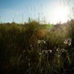 Viral dugaan pelecehan seksual di FH UI – Mengapa kekerasan ‘tumbuh subur’ di lembaga pendidikan?