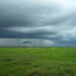 Indonesia Luncurkan Roadmap Pendidikan Anak Usia Dini Asia Tenggara