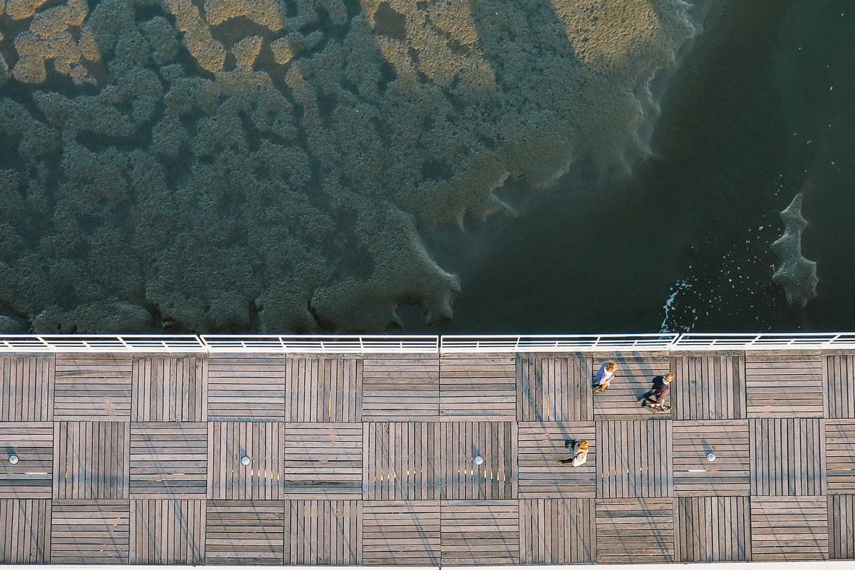 Koalisi Selamatkan Pendidikan Indonesia Hadiri Sidang Agenda Keterangan Presiden dan DPR dalam Perkara Nomor 55/PUU-XXIV/2026