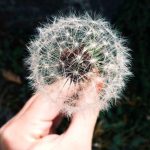 Kasus Pelecehan Verbal FH UI, MUI: Pendidikan Harus Diimbangi Moral