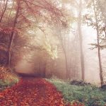 Bupati Meranti Teken Kerja Sama dengan IBT Pelita Indonesia, Dorong SDM Unggul Berbasis Teknologi