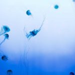 Pemprov Lampung Dorong Transformasi Pendidikan Berbasis Data melalui TKA pada jenjang SMA/SMK/SLB/MA, Komisi X DPR RI Apresiasi Lampung Kembangkan Computer Assisted Test – Website Resmi Biro Administrasi Pimpinan Sekretariat Daerah Pr