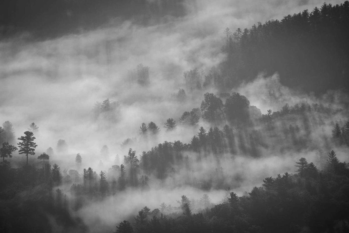 Ketua Komisi X DPR RI Hetifah Sjaifudian Raih Penghargaan KWP Award 2026 Kategori Legilator Peduli Pendidikan & Pengembangan SDM