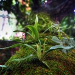 Kemendikdasmen Kebut Pemulihan Satuan Pendidikan di Wilayah Bencana