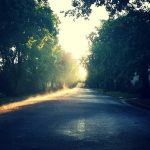 Ketua Komisi X DPR RI Hetifah Sjaifudian Raih Penghargaan KWP Award 2026 Kategori Legilator Peduli Pendidikan & Pengembangan SDM