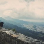 Polri–Universitas Borobudur Perkuat Kolaborasi, Akselerasi Transformasi Pendidikan melalui Pusat Studi Kepolisian