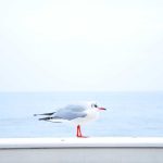 Silaturahmi Guru Pringgabaya Jadi Panggung Apresiasi dan Dorongan Reformasi Pendidikan