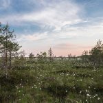 Berita: Pemerintah Indonesia Dukung Kerja Sama Trilateral Bangun Pendidikan di Palestina