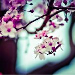 Ketua DPRD Kota Jambi Dorong Pramuka Jadi Indikator Jalur Prestasi di Hadapan Menteri Pendidikan Dasar dan Menengah